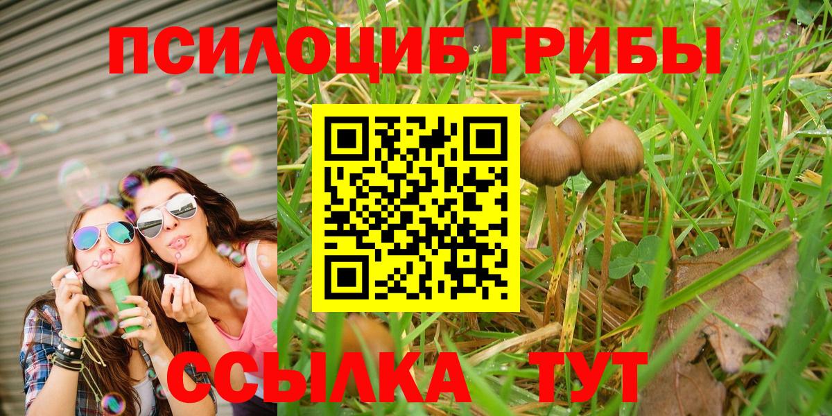 Псилоцибиновые грибы MAGIC MUSHROOMS Гусиноозёрск