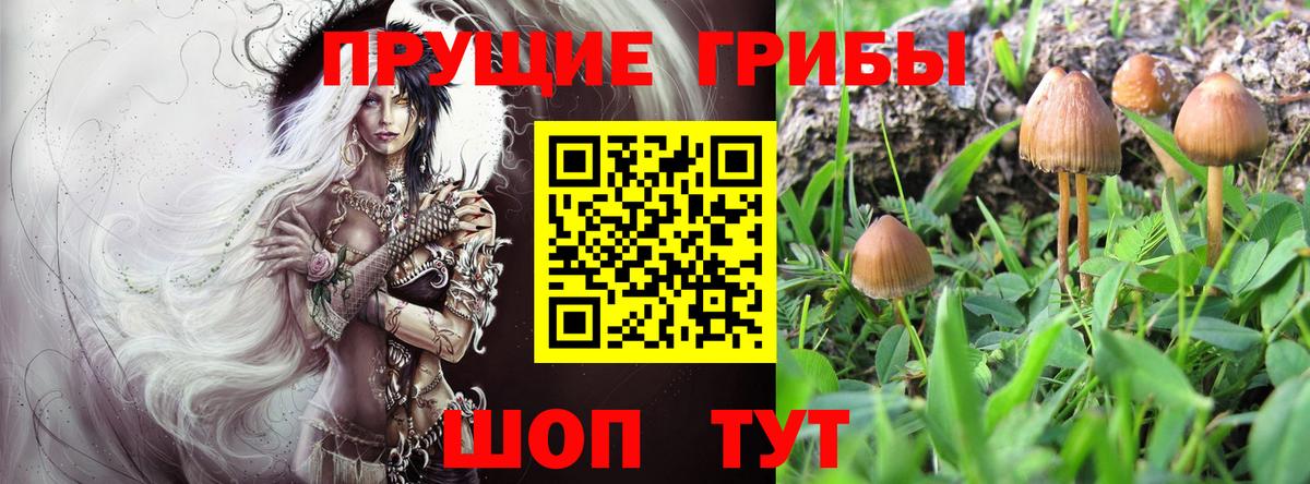 Гусиноозёрск  купить закладку  Вход с VPN  Галлюциногенные грибы Psilocybine cubensis 